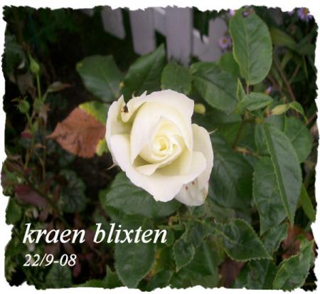 gallery_7440_2880_23413.jpg
