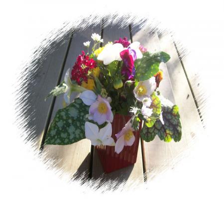 gallery_7440_2880_60410.jpg