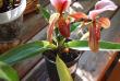 tn_gallery_10146_2878_95248.jpg