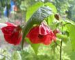 tn_gallery_4247_2881_86594.jpg