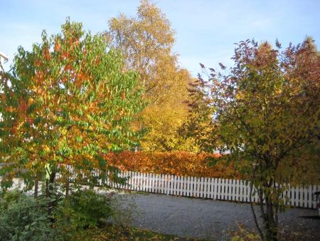 gallery_14_247_172910.jpg