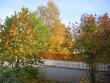 tn_gallery_14_247_172910.jpg