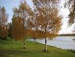 tn_gallery_14_2882_97505.jpg