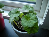 gallery_19136_2890_6344.jpg