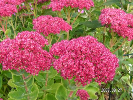gallery_1786_2894_24821.jpg