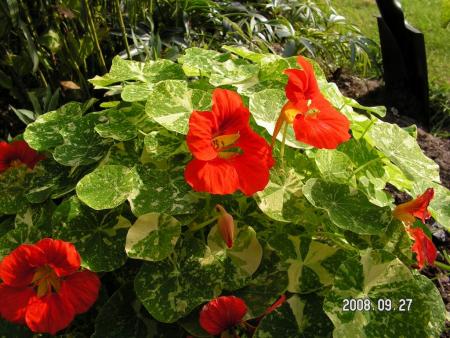 gallery_1786_2895_166600.jpg