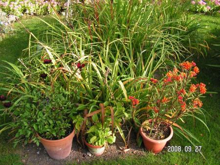 gallery_1786_2895_211118.jpg