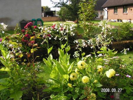 gallery_1786_2895_215553.jpg