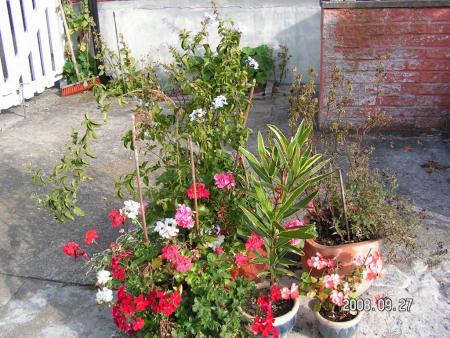 gallery_1786_2895_48994.jpg
