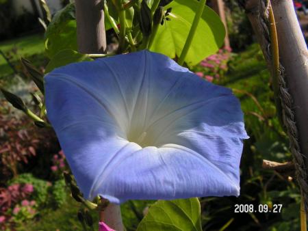 gallery_1786_2895_83025.jpg