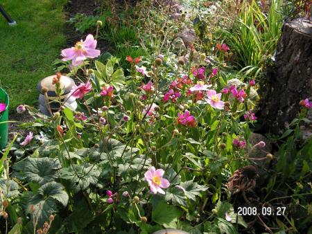 gallery_1786_2895_85427.jpg