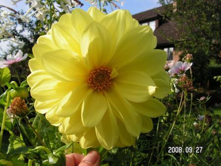 gallery_1786_950_5053.jpg