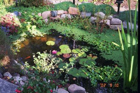 gallery_10935_2708_104940.jpg