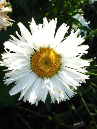 gallery_5714_2898_75555.jpg