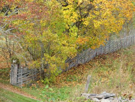 gallery_100_1966_101045.jpg