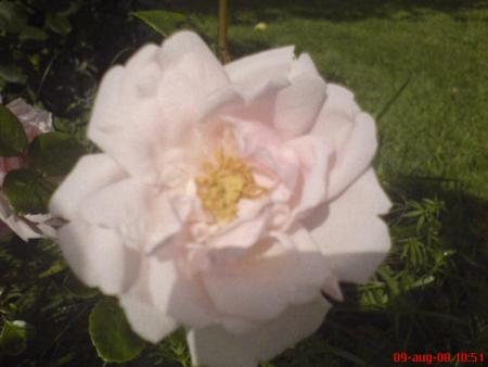 gallery_1650_2903_35007.jpg