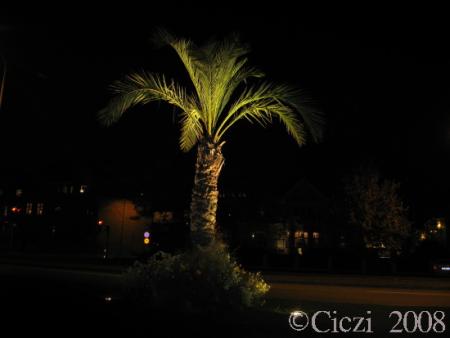 gallery_4113_128_15941.jpg