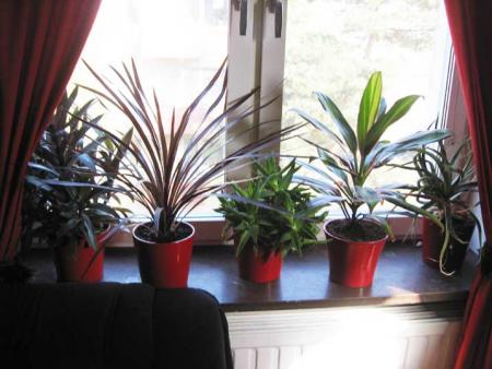 gallery_16280_2925_59008.jpg