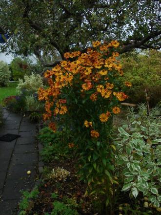 gallery_10406_538_41937.jpg