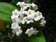 tn_gallery_4113_52_17194.jpg