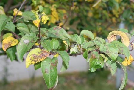 gallery_17222_2944_215939.jpg