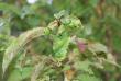 tn_gallery_17222_2944_182843.jpg