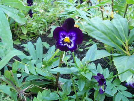 gallery_7440_2880_50634.jpg
