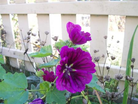 gallery_7440_2880_69296.jpg