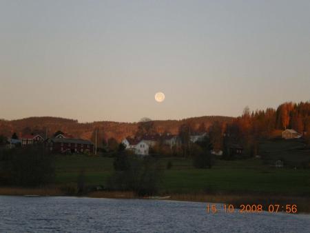 gallery_3363_96_68964.jpg
