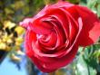 tn_gallery_5307_2392_19397.jpg
