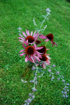 gallery_12623_2966_39138.jpg