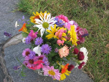 gallery_11610_1873_233986.jpg