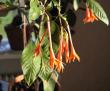 tn_gallery_2529_1142_20010.jpg