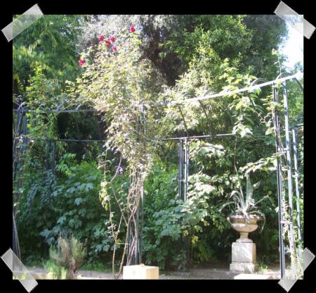 gallery_7440_2978_142812.jpg