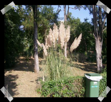 gallery_7440_2978_33950.jpg