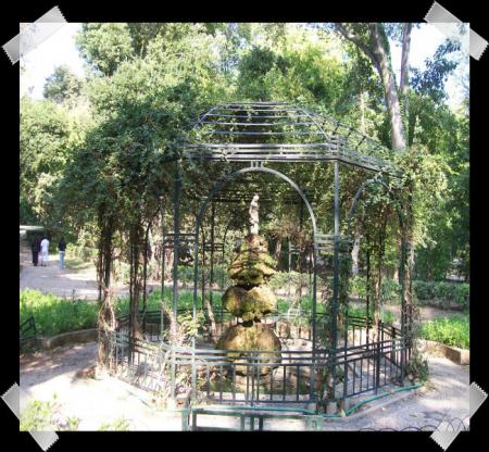 gallery_7440_2978_36327.jpg