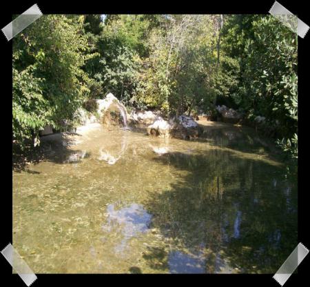 gallery_7440_2978_63434.jpg