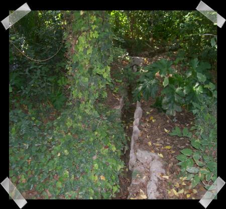 gallery_7440_2978_65781.jpg