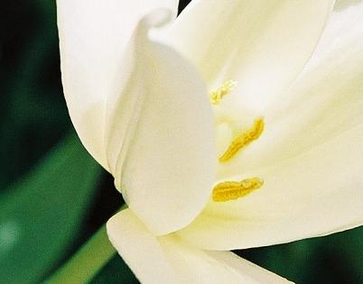 gallery_14007_1892_9594.jpg