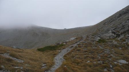 gallery_12065_2982_85871.jpg