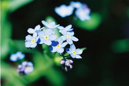 gallery_14007_1892_7290.jpg