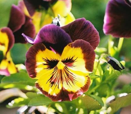gallery_14007_1892_9023.jpg