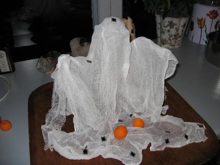 gallery_2529_1143_12463.jpg