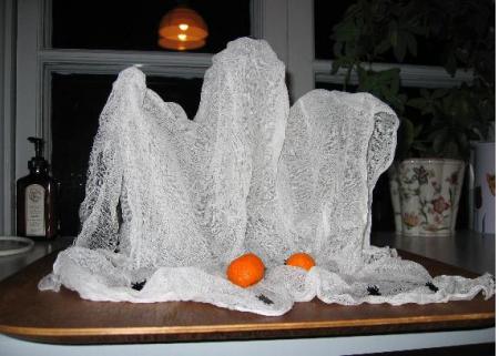 gallery_2529_1143_3204.jpg
