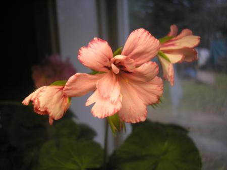 gallery_5783_2425_58232.jpg