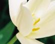 tn_gallery_14007_1892_9594.jpg