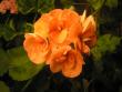 tn_gallery_5783_2425_44997.jpg