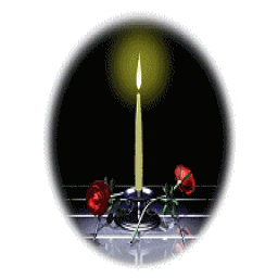gallery_7440_28_20428.gif