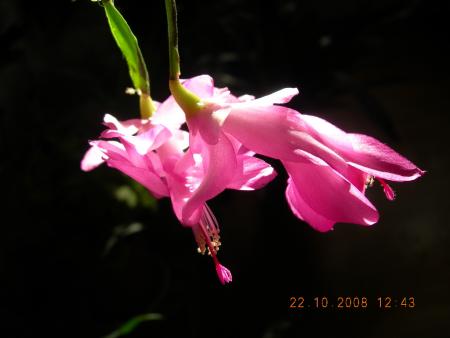 gallery_16329_2984_65932.jpg