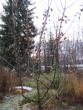 tn_gallery_14_247_52405.jpg